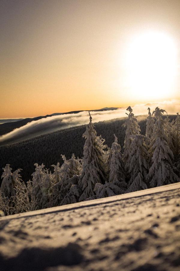 Ski&Sun Apartamenty Świeradów-Zdrój Εξωτερικό φωτογραφία