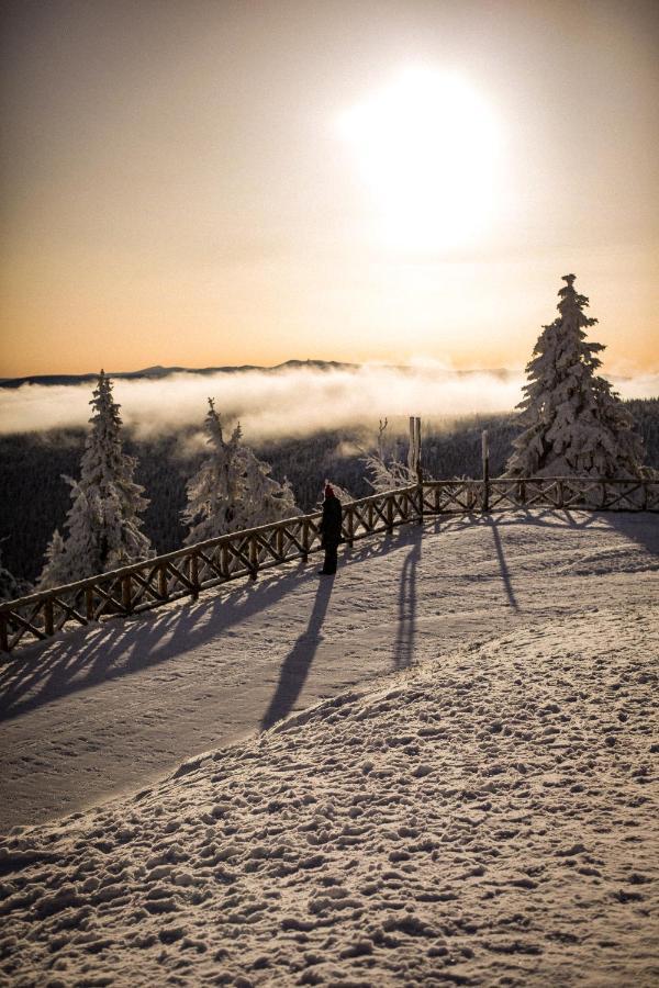 Ski&Sun Apartamenty Świeradów-Zdrój Εξωτερικό φωτογραφία