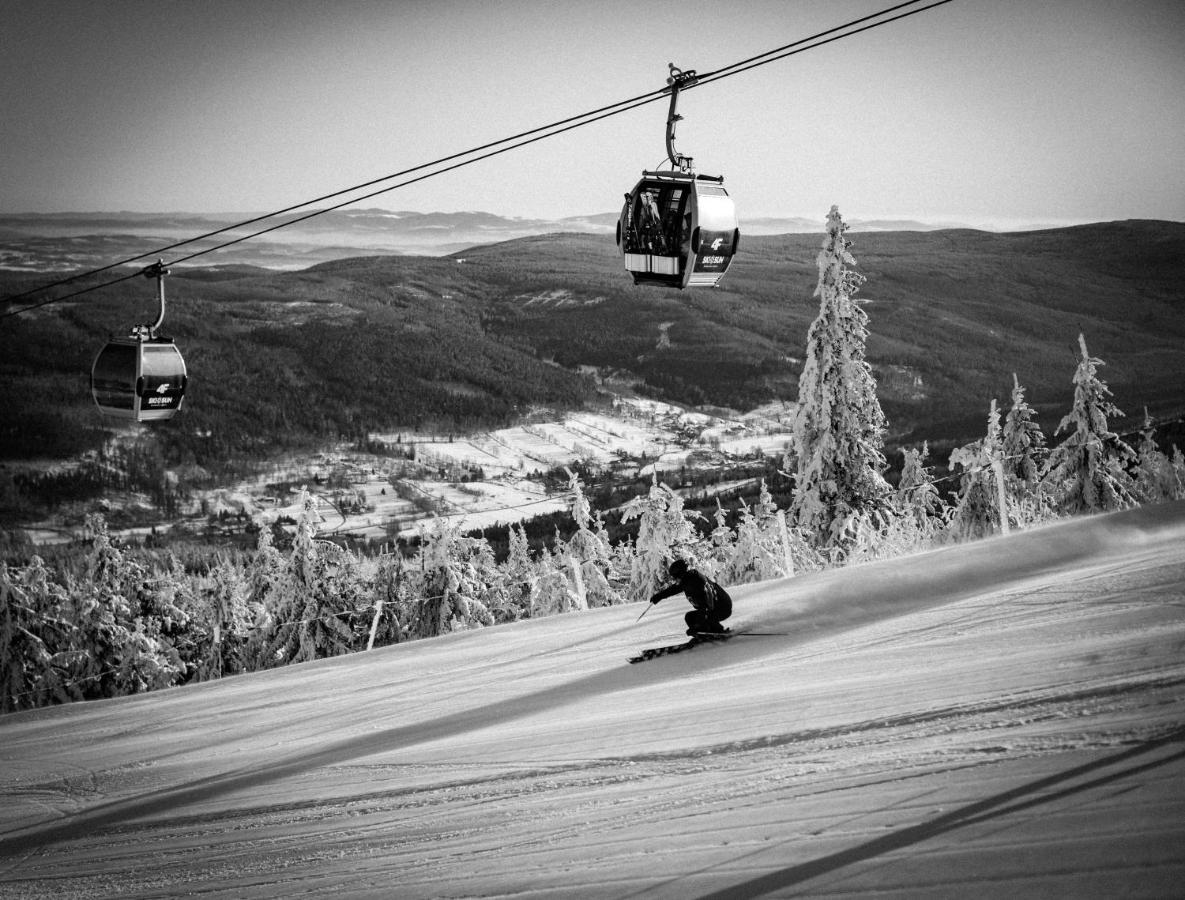 Ski&Sun Apartamenty Świeradów-Zdrój Εξωτερικό φωτογραφία